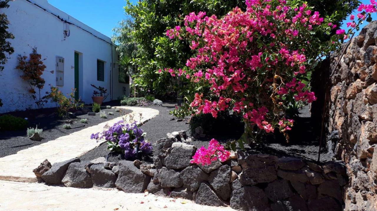 Casa Tara Villa Mácher Eksteriør billede